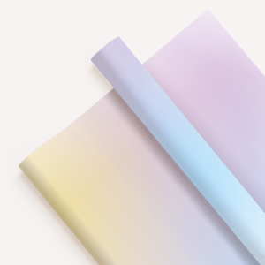 Pastel Gradient Wrapping Paper 50x70cm
