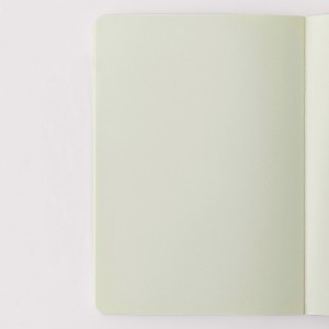 Large Plain Notebooks x2 Happimess - Colorblock Green/Lilac