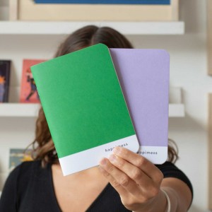 Happimess Colorblock Green/Lilac POCKET Notebook x2